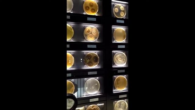 Микропия в Амстердаме / Micropia in Amsterdam смотреть онлайн