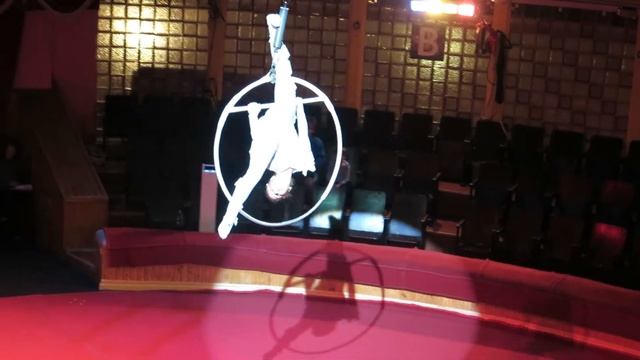 Образцовый Цирковой Коллектив "БРАВО" Подольск смотреть онлайн