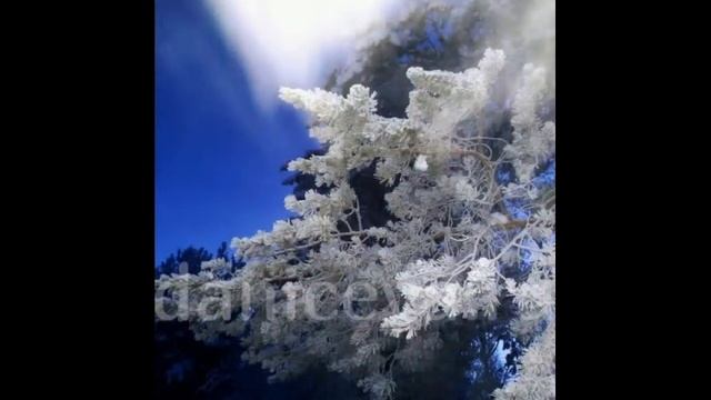 МОЙ АНГЕЛ РИСУЕТ. УНИКАЛЬНЫЕ КАДРЫ ИНОГО МИРА.daniceva.ru смотреть онлайн