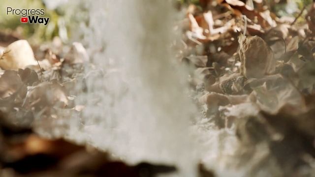 Хотите Много Клубники? В Ноябре За Неделю До Морозов Подкормите КУСТИКИ Этим - Ягод Будет Море! смотреть онлайн