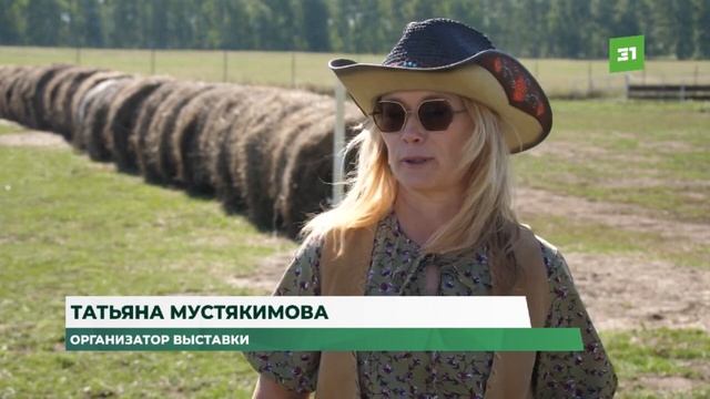 Лошади на палочке. На Южном Урале впервые провели соревнования по хоббихорсингу смотреть онлайн