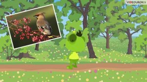 Как зимой помочь птицам?