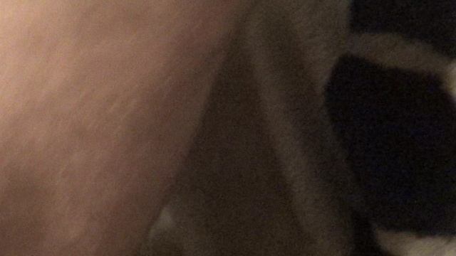 M2U01451 смотреть онлайн