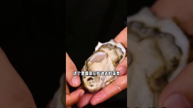 #ASMR,Eating,Girl eat food,Oyster,Sea snails,Sea Lobster,Sea snails,Sea Crab,Sea squid,eat food смотреть онлайн