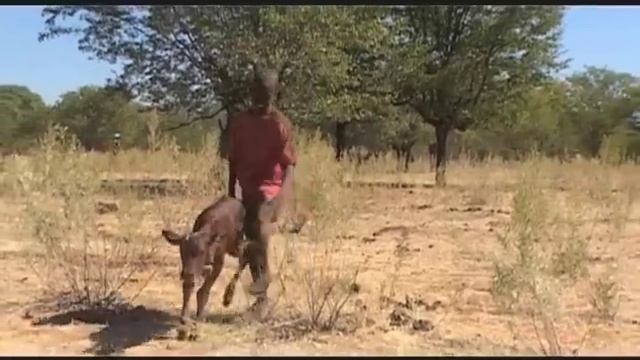 Люди, лишенные дурных мыслей смотреть онлайн
