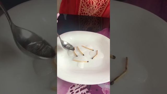 Мастер - класс для родителей "Обучение с увлечением" смотреть онлайн