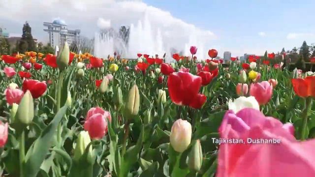 Салом алейкум, Тоҷикистон Салом алейкум, Таджикистан, Salom Aleykum Tajikistan!