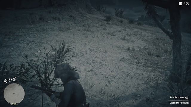 Red Dead Redemption 2 - Legendary Cougar (Location, Rewards, Walkthrough) смотреть онлайн