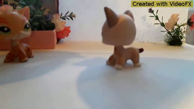 Новинки LPS У меня колли смотреть онлайн