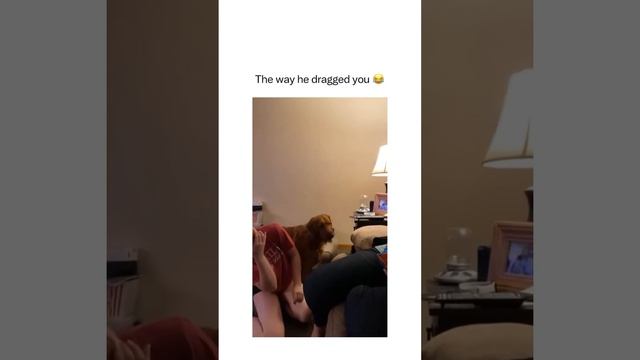 WWE dog smack down?? Via nicolefinanwells//tiktok смотреть онлайн