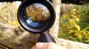 Охота с мр 512 взял северную утку