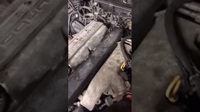 Audi s4 ulyd смотреть онлайн