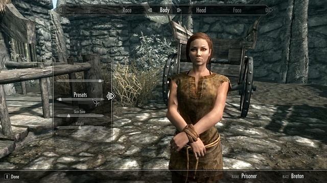 Skyrim Celeron G530 sem placa de vídeo смотреть онлайн