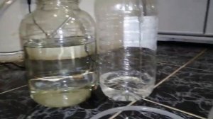 как быстро убрать опалесценцию с зернового дистиллята