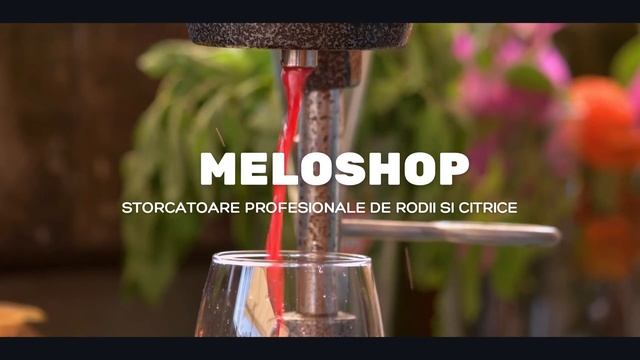 Storcator rodii - Meloshop смотреть онлайн