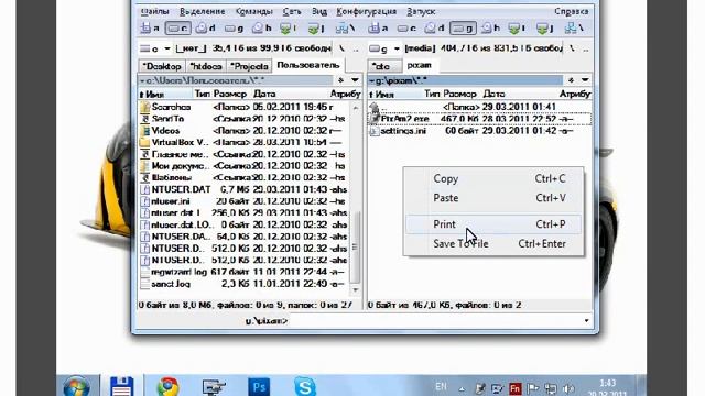 PixAm 2 Manual смотреть онлайн