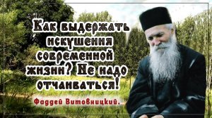 +Как выдержать искушения современной жизни? Не надо отчаиваться! Фаддей Витовницкий