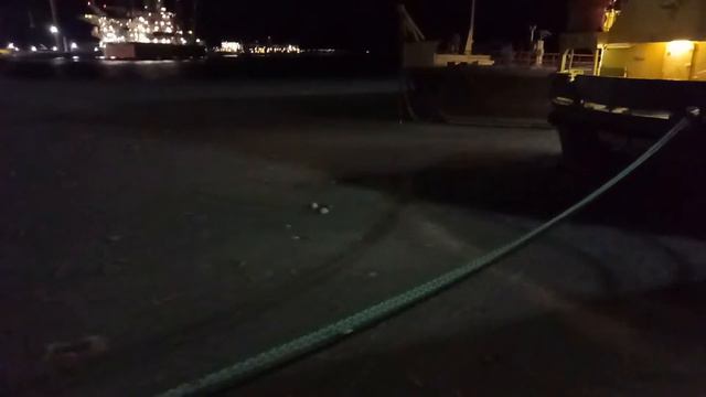 море замерзло! смотреть онлайн