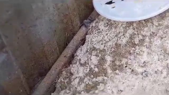 🆘Срочно ищем кураторов или хозяев щенкам, Москва и МО. Привезут. 89017491091 вотсап смотреть онлайн