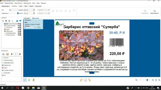 PrintackDesigner: Как печатать с любого места на листе этикеток смотреть онлайн