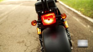 2019 Electric Scooter/Harley City Coco 60v 1500w EEC, 2 person, fluid brakes, suspensions, trunk