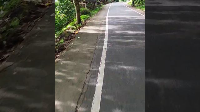 EUC Kingsong S18 Country Side смотреть онлайн