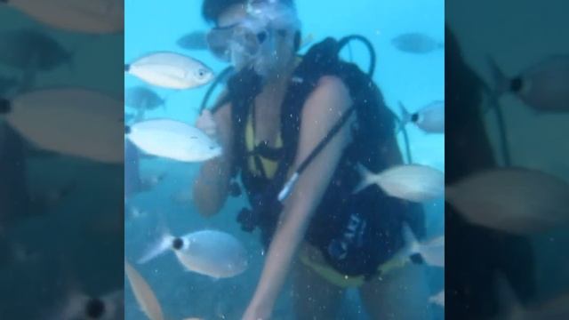 Дайвинг в Кемер Diving Kemer смотреть онлайн