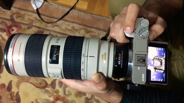 Sony a6000 + viltrox nex iii + Canon 70-200 f2.8 is mk1 Single Autofocus lens adapter test смотреть онлайн