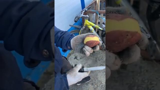 Картофель Сорт - Ароза смотреть онлайн