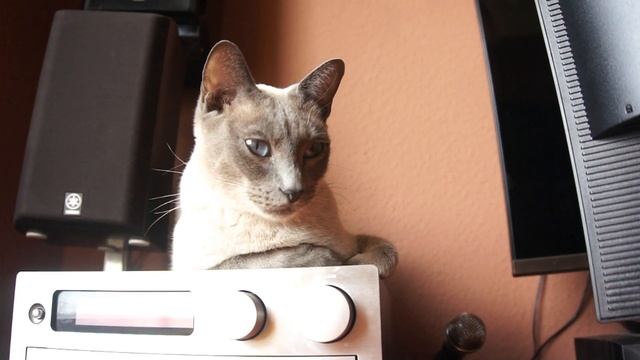 Acer Predator XB1 XB271HU смотреть онлайн