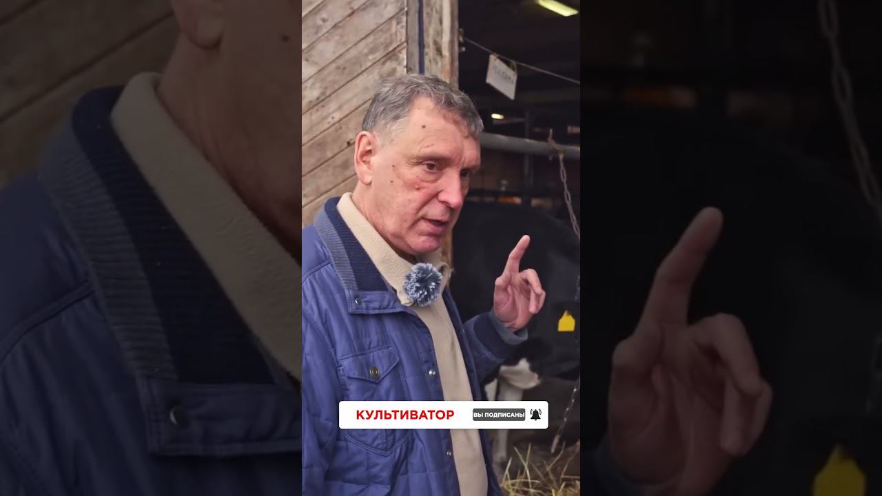 КФХ Бурков #фермер #животноводство #коровы смотреть онлайн