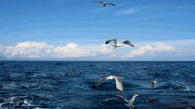 море глазами детей смотреть онлайн