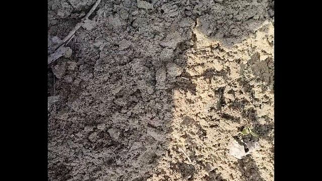 Коп Пляж Кубани 23.02 c Легендой смотреть онлайн