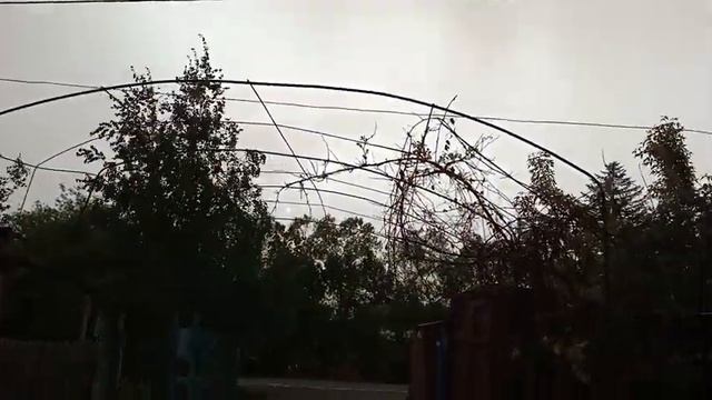 LifeVlog: ЛУК вырастит КРУПНЫМ. КОРОВЫ испугались дождя. смотреть онлайн