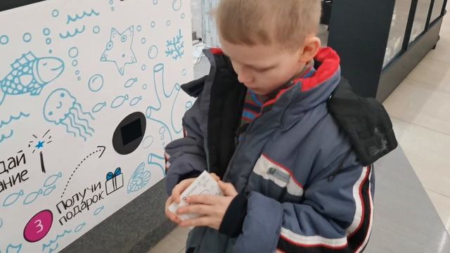Кормление аквариумных рыбок. Поведение рыбок во время кормления. Аквариумные рыбки. смотреть онлайн