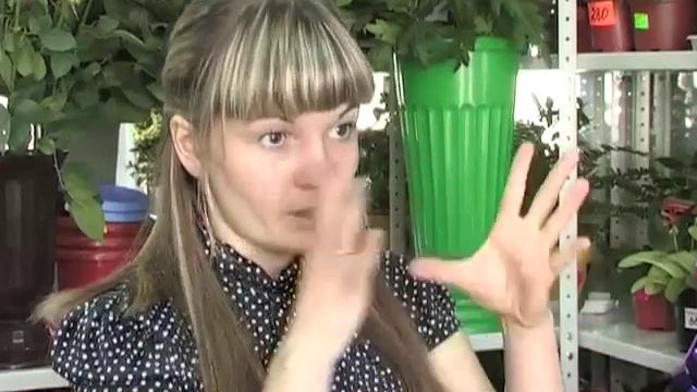 Пышная зелень, ароматные плоды... смотреть онлайн