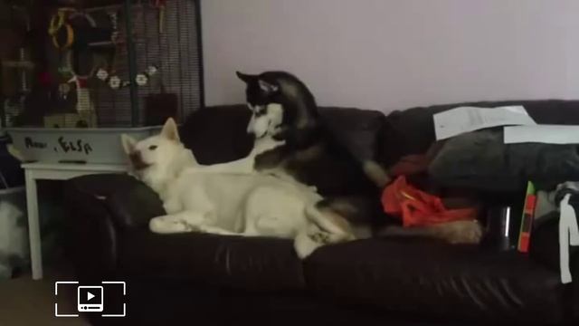 Утреннее пробуждение смотреть онлайн