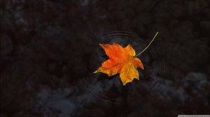 Chris Wonderful   Best of Relaxing  Chillout   Ambient mix