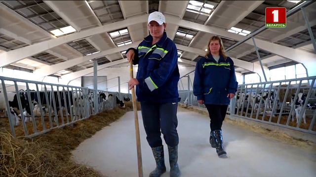 Ирина Тютикова – оператор машинного доения СПК "Свислочь" | Белорусская Super женщина смотреть онлайн