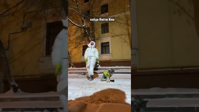 ГУЛЯЮ С СОБАКОЙ ♥️ КТО ПОМНИТ ЕГО ИМЯ? 🐕 смотреть онлайн