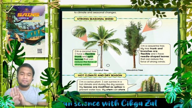 Kelas Online Science Year 5 DLP: Plant Protection смотреть онлайн