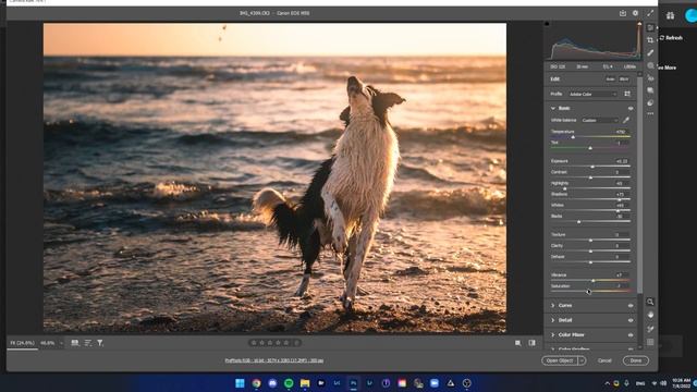 Adobe Camera RAW/ Photoshop Speed Edit: Doggo At Sunset смотреть онлайн