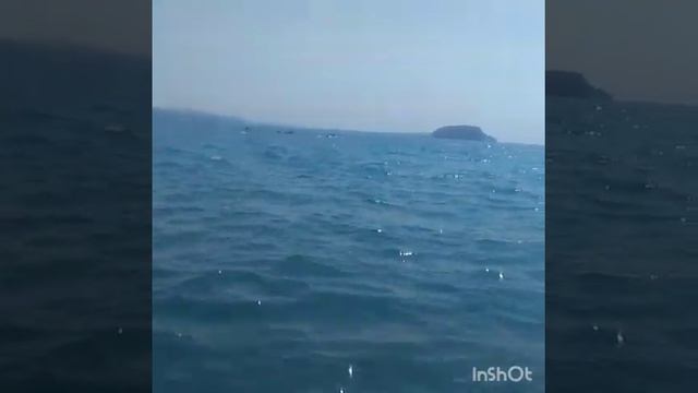 Рыбалка на Дальнем востоке в Приморье на минтая,на саркофаге, Чёрные камни,Ханган. смотреть онлайн