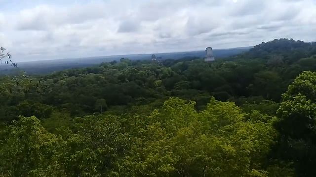 #Tikal Peten Guatemala(24) смотреть онлайн