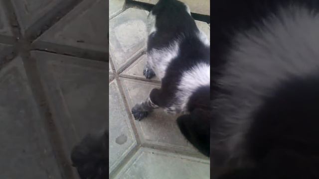 Дик хочет добавки смотреть онлайн