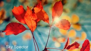 Рамеш Балсекар. Справочник для просветленных. Аудиокнигa | Адвайта | NikOsho