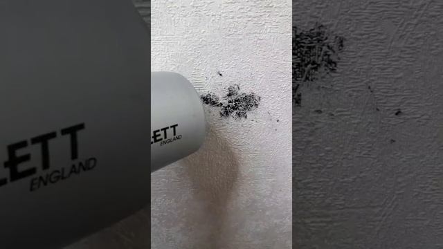 Легкий способ оттереть пластилин с обоев смотреть онлайн