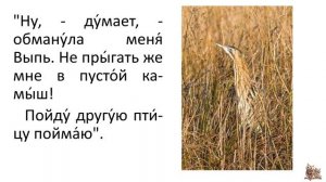 Бианки В.В. "Первая охота"