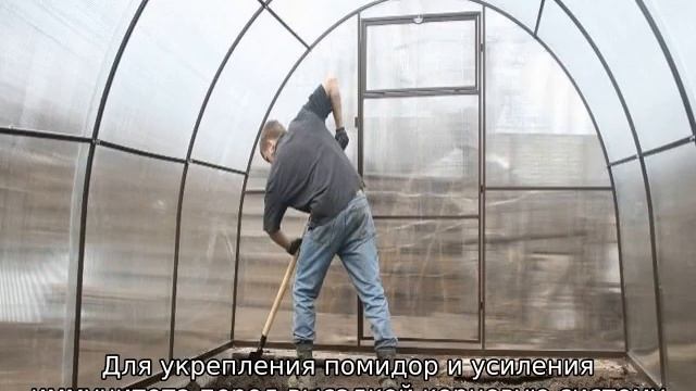 Высадка рассады помидор в теплицу смотреть онлайн