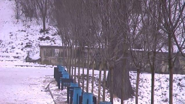 Новая Аллея из молодых ясеней в парке Долина Роз смотреть онлайн